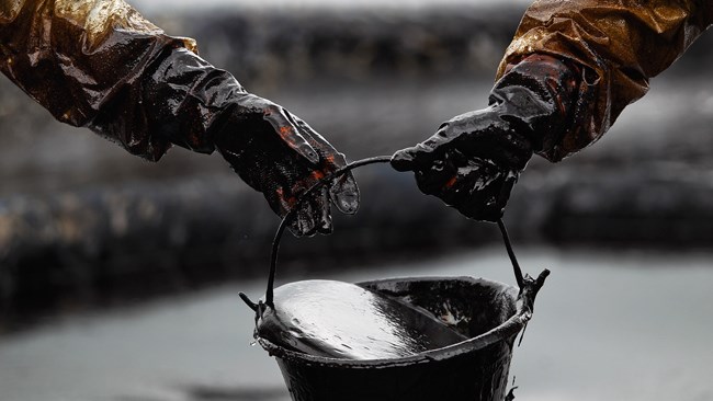 مقامات اوپک موفق نشدند درباره کاهش تولید و احیای قیمت نفت به توافق برسند. این در حالی است که روسیه اعلام کرده در نشست وزرای نفت کشورهای عضو اوپک که فردا در در وین برگزار می‌شود، شرکت نخواهد کرد.
