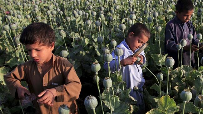 بررسی پایگاه خبری اتاق ایران از گزارش‌های فائو نشان می‌دهد فائو و سازمان جهانی کار دوره‌هایی را برای مبارزه با پدیده کودکان کار در حوزه کشاورزی برگزار کرده‌اند.