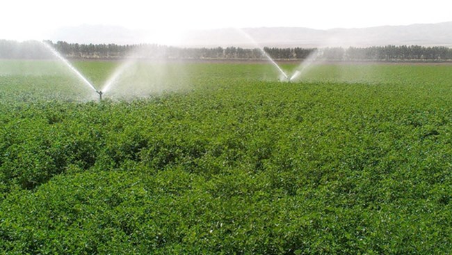 گزارش «فناوری‌های موردنیاز برای ارتقای بهره‌وری آب آبیاری» که به همت کمیسیون آب، محیط‌ زیست و اقتصاد سبز اتاق ایران تهیه شده، تکنیک‌های بهره‌وری آب و فناوری‌های این حوزه معرفی شده است.
