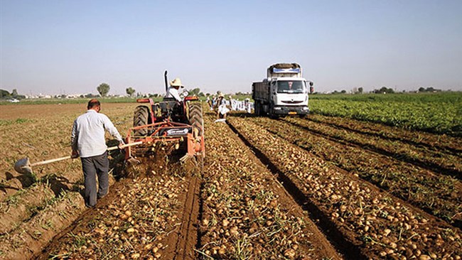 وزیر صنعت معدن و تجارت اعلام کرد که ممنوعیت صادرات پیاز و سیب زمینی لغو شده است.
