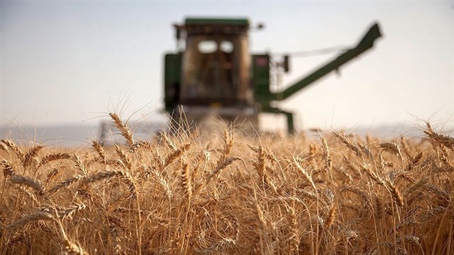 ‌ رئیس نظام صنفی کشاورزی کشور اعلام کرد قیمت پیشنهادی نظام صنفی برای خرید تضمیمی گندم در سال زراعی جدید 2868 تومان است .