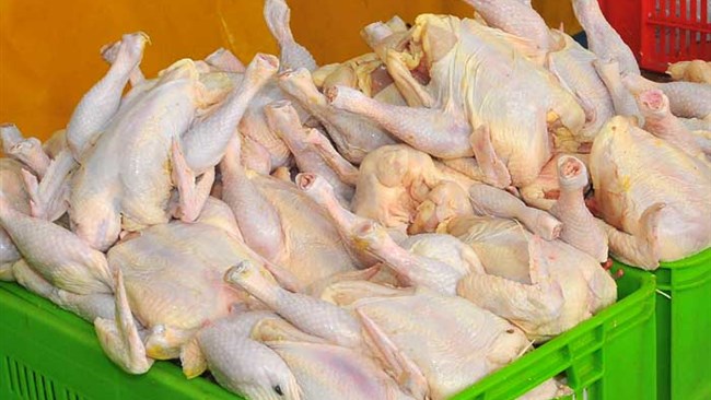 وزارت صنعت، معدن و تجارت مصوبه واردات ۵۰ هزار تن گوشت مرغ را به گمرک ابلاغ کرد.