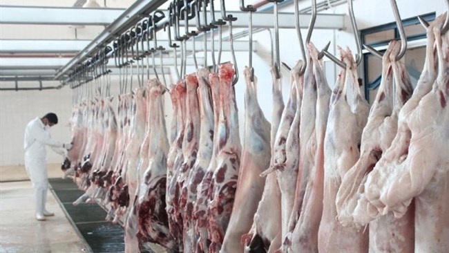 بر اساس گزارش مرکز آمار ایران در شهریور امسال، هم نسبت به شهریور سال قبل و هم نسبت به مرداد امسال، عرضه گوشت قرمز در کشتارگاه‌های رسمی کشور 4 درصد افزایش یافت.
