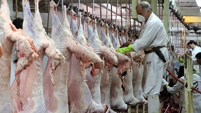 بر اساس آمارهای رسمی، در شهریور ۱۴۰۲ در مقایسه با ماه مشابه سال ۱۴۰۱ عرضه گوشت قرمز در کشتارگاه‌های رسمی کشور ۳۲ درصد کاهش و در مقایسه با مرداد امسال در حدود ۴ درصد کاهش داشته است.