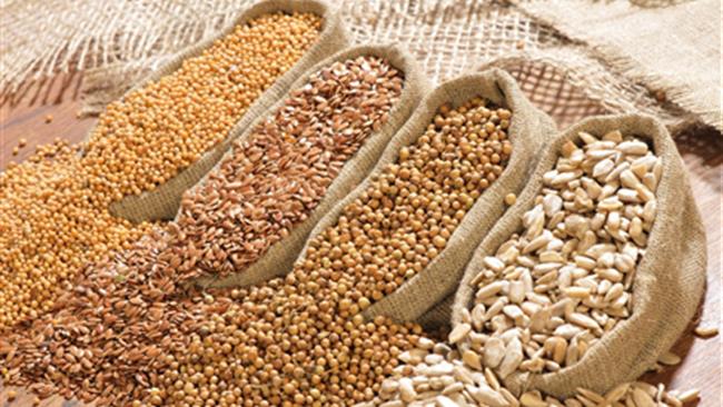 افزایش سطح زیرکشت دانه‌های روغنی در دنیا نشان می‌دهد که با افزایش جمعیت و درآمد مردم، نیاز به پروتئین بیشتر می‌شود و نقش دانه‌های روغنی نیز پررنگ‌تر از قبل خواهد شد