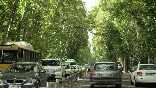 فائو در اینفوگرافیک آماری به فواید کاشت درختان در فضای شهری پرداخته؛ بر اساس آمار موجود درختان، هوای شهر را 2 تا 8درجه سانتی‌گراد خنک‌تر می‌کنند.