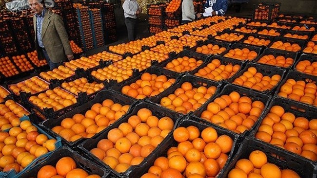 روسیه با خرید بیش از ۲۸ تن پرتقال سهمی بیش از ۴۱ درصد در بازار صادراتی پرتقال داشته است و پس از آن افغانستان و ترکمنستان با خرید ۳۴ تن و ۱۹ تن در رتبه‌های بعدی بازار پرتقال ایران قرار گرفتند.