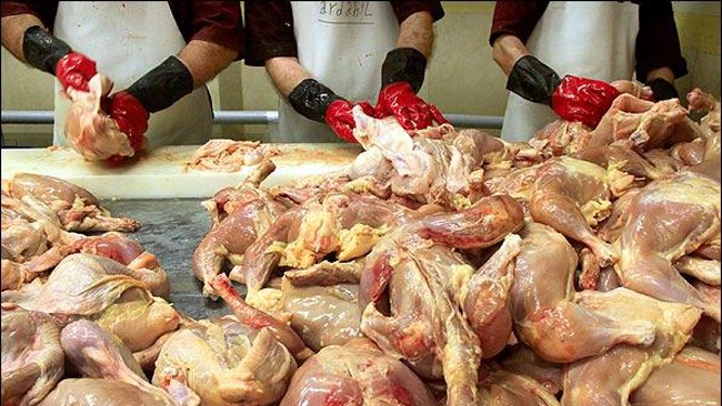 رئیس هیات مدیره اتحادیه مرغ تخم گذار استان تهران از آزاد شدن استفاده از خمیر مرغ در سوسیس و کالباس بعد از مدت‌ها کشمکش بین دستگاه‌های مسئول خبر داد.