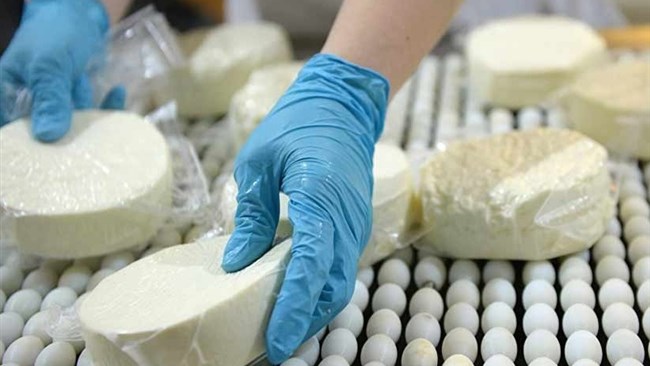 آمارهای مربوط به صادرات انواع پنیر صبحانه در ماه‌های گذشته نشان می‌دهد: ارزش کالای صادراتی در این بخش ۲۸۶ درصد افزایش یافته است.