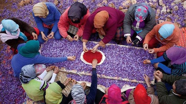 عضو کمیسیون کشاورزی مجلس می‌گوید: در شرایطی که ایران با تحریم‌های ظالمانه مواجه شده، کشورهایی مانند افغانستان محصول زعفران ایران را به نام خود صادر می‌کنند.