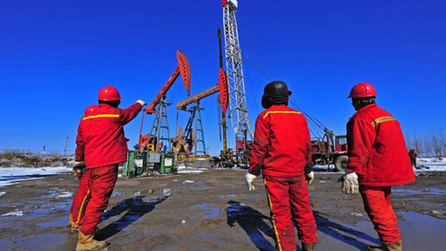 شبکه خبری سی‌ان‌ان در گزارشی هشدار داد که باقی ماندن قیمت نفت در سطوح کمتر از 40 دلار می‌تواند بسیاری از شرکت‌های فعال در بخش نفت و گاز آمریکا را به ورطه ورشکستگی بکشاند.