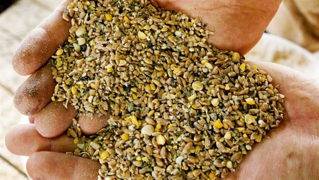 ارزش واردات نهاده‌های دام و طیور به ایران در ماه نخست سال جاری با کاهش هفت درصدی نسبت به دوره مشابه سال گذشته به ۲۵۳ میلیون و ۵۰ هزار دلار رسید.