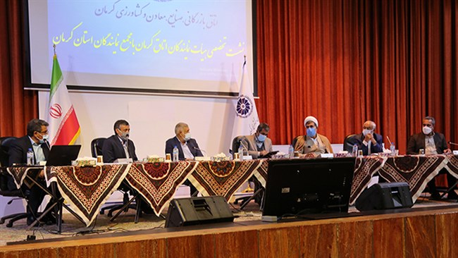فعالان اقتصادی در نشست تخصصی هیات نمایندگان اتاق کرمان با نمایندگان مردم استان در مجلس درخواست کردند که ارز حاصل از صادرات محصولات کشاورزی آزاد شود.