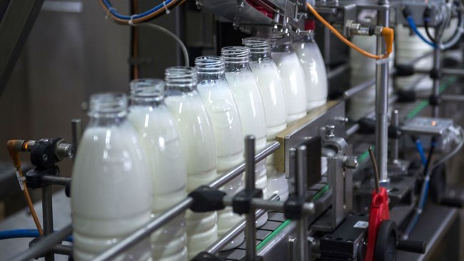عضو هیات مدیره انجمن صنایع فرآورده‌های لبنی گفت: اگر قرار باشد قیمت شیرخام به حدود ۶۴۰۰ تومان برسد کف افزایش قیمت لبنیات ۶۰ درصد خواهد بود.