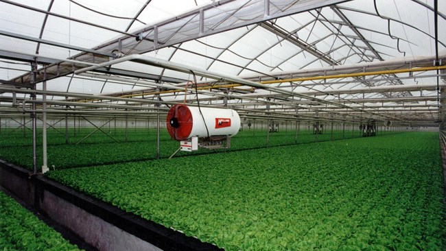 سازمان حفظ نباتات کشور در اطلاعیه‌ای از تمدید مهلت دریافت کد (QR) برای محصولات گلخانه‌ای – زراعی خبر داد.