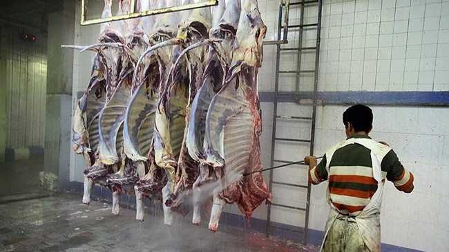 بر اساس گزارش مرکز آمار ایران عرضه گوشت قرمز در ماه آبان امسال نسبت به آبان سال گذشته 3 درصد و نسبت به مهر امسال 2 درصد کاهش داشته است.