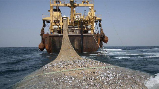رئیس سازمان شیلات ایران از تدوین دستورالعمل استاندارد صید از آب‌های عمیق جنوب کشور خبر داد و گفت: پس از نهایی شدن و تصویب این متن، صید فانوس ماهیان از سر گرفته خواهد شد.