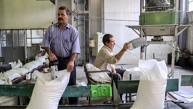 رئیس اتحادیه بنکداران مواد غذایی تهران از بازگشت ثبات به بازار شکر خبر داد و گفت: بازار به ثبات رسیده و کمبودی در این بخش وجود ندارد.