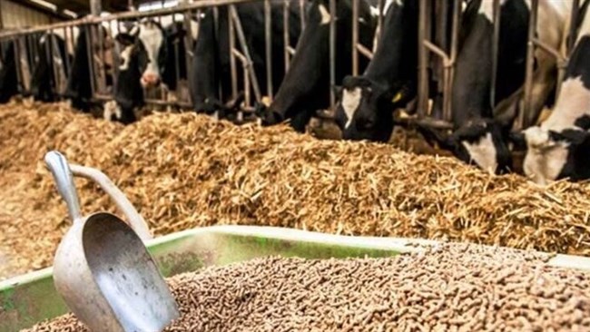 اعضای کمیسیون کشاورزی اتاق ایران و مجلس، اجرای راهکارهای لازم به منظور تامین نهاده‌ها و خوراک دام و طیور به ویژه کنجاله سویا را پیگیری می‌کنند.