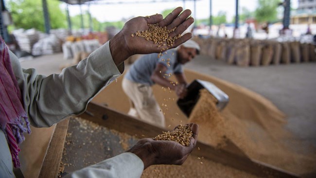 سازمان خواربار و کشاورزی ملل متحد، فائو اعلام کرد که قیمت جهانی کالاهای غذایی مانند غلات و روغن نباتی در سال گذشته نسبت به بالاترین رقم خود در سال ۲۰۲۲ کاهش‌یافته است.