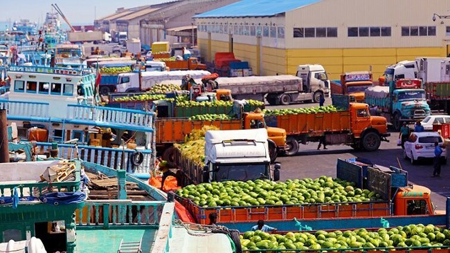 رئیس کمیسیون کشاورزی اتاق بازرگانی ایران کاهش صادرات محصولات کشاورزی ایران و غلبه رقبا در بازارهای صادراتی را تأیید کرد و پنج چالش صادراتی را سبب‌ساز این امر دانست.