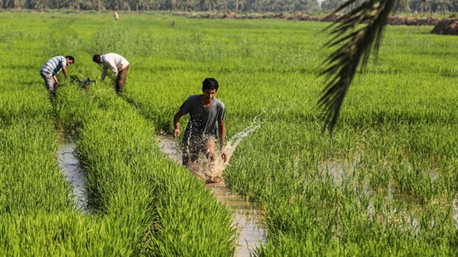 بر اساس اعلام معاونت بین‌الملل اتاق ایران، انجمن تولیدکنندگان بذر اروگوئه و یک شرکت تجاری در این کشور، برای تولید و صادرات بذر و همچنین صادرات دام و محصولات کشاورزی به ایران اعلام آمادگی کردند.