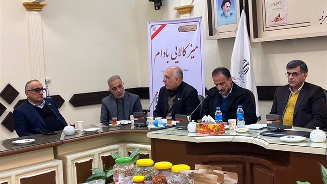 نایب‌رئیس اتاق رشت در نشست تخصصی میز کالایی بادام آستانه اشرفیه با انتقاد از سیاست‌های ارزی و بانکی کشور، تصریح کرد که این تصمیمات عملاً مسیر تولید و صادرات را با چالش جدی روبه‌رو کرده است.