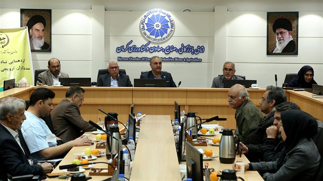 رئیس کمیسیون کشاورزی اتاق کرمان با اشاره به اینکه مشکلات ناترازی انرژی سال جاری با شدتی بیشتر در سال آینده ادامه خواهد یافت، این موضع را چالش بزرگ کشاورزان دانست که باید با راهکارهای موجود برای رفع آن تلاش کرد.