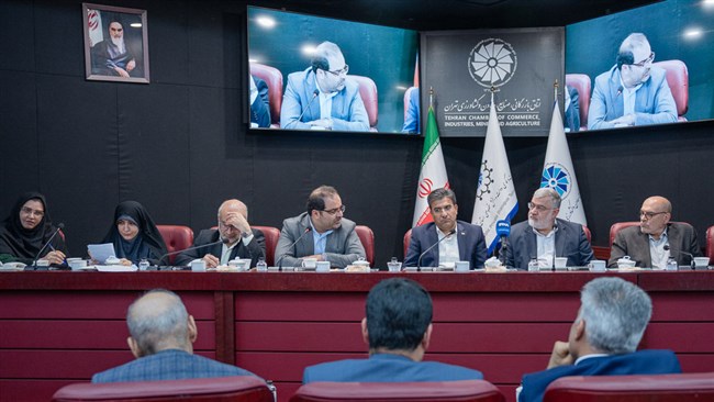 نمایندگان بخش خصوصی با اشاره به آثار نامطلوب تأخیر در ابلاغ مصوبات حمایتی و افزایش شدید هزینه‌های انرژی، تمدید تصویب‌نامه ۱۳۴۰۰، بازنگری در ساختار تعرفه برق و حمایت ویژه از آسیب‌دیدگان جنگ ۱۲ روزه را خواستار شدند.