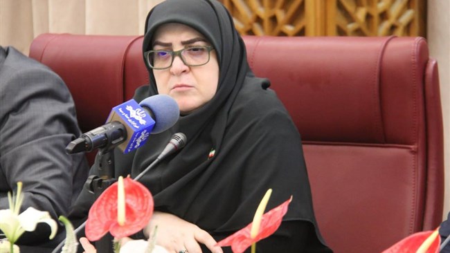 سخنگوی دولت چهاردهم گفت: وظیفه دولت در قبال بخش خصوصی اتخاذ سیاست‌‌های حمایتی و ایجاد‌ زیرساخت‌ها است و انتفاع بخش خصوصی همواره باعث خوشحالی دولت است.