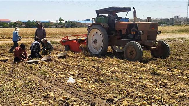 62 درصد از منابع بانک کشاورزی به هزینه‌های خدماتی، تکلیفی و غیرمولد اختصاص یافته و تسهیلات تولیدی (زراعت، باغداری، دامداری، شیلات) کاهش چشمگیر داشته‌اند.