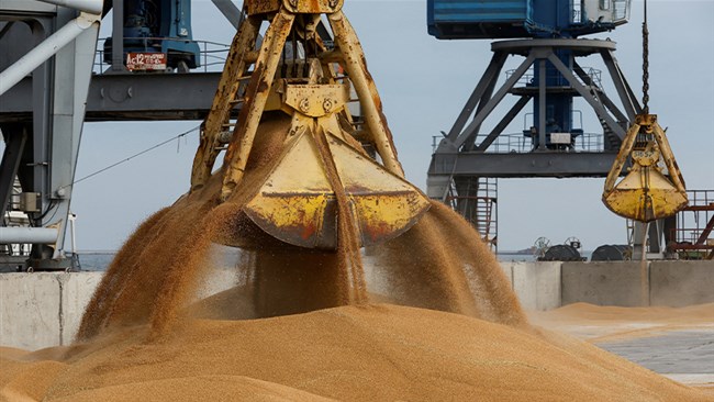 در فوریه 2026 قیمت جهانی غلات روندی تقریباً ثابت را طی کرده و ثبات تقاضا برای برنج‌های واریته باسماتی و ژاپونیکا منجر به افزایش اندک قیمت برنج شده و شاخص قیمت دانه‌های روغنی، کنجاله و روغن نباتی نیز افزایشی بوده است.