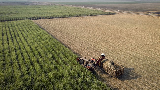 اتحادیه ملی محصولات کشاورزی ضمن نگاهی به اصلی‌ترین نیازهای این بخش روی کاهش بهره‌وری و هدررفت منابع در زنجیره تأمین محصولات کشاورزی و ایجاد اشتغال پایدار و کاهش مهاجرت از مناطق کمتر توسعه‌یافته متمرکز شده است.