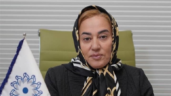 سیده فاطمه مقیمی، عضو هیئت نمایندگان اتاق ایران نوشت: دورانِ «فداکاریِ بی‌مزد» در حساس‌ترین باریکه‌ی زمین به پایان رسیده است؛ هرمز باید باید موتورِ پیشرانِ اقتصاد ملی ما بدل گردد.