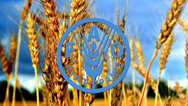 گزارش ماهیانه پایش و تحلیل قیمت مواد غذایی (فوریه 202۶) از سوی مرکز ملی مطالعات راهبردی کشاورزی و آب اتاق ایران به نقل از بولتن قیمت مواد غذایی فائو در ماه فوریه منتشر شد.