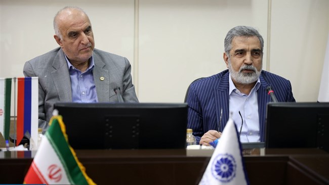 معاون سازمان انرژی اتمی در جمع فعالان اقتصادی بخش خصوصی گفت: ایران با ۱۰۰ هزار مگاوات ظرفیت اسمی برق، باید بین ۸ تا ۱۲ درصد از برق خود را از طریق هسته‌ای تأمین کند.