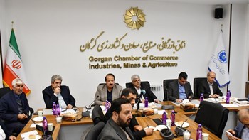 نشست هم‌اندیشی تأمین مواد اولیه پتروشیمی ویژه واحدهای تولیدی استان گلستان چالش‌های تأمین، قیمت‌گذاری و توزیع مواد اولیه صنایع پایین‌دستی پتروشیمی بررسی شد.